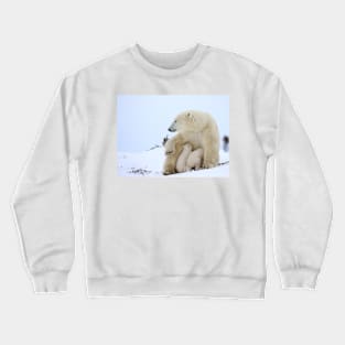 Mother polar bear nursing her newborn cubs Crewneck Sweatshirt